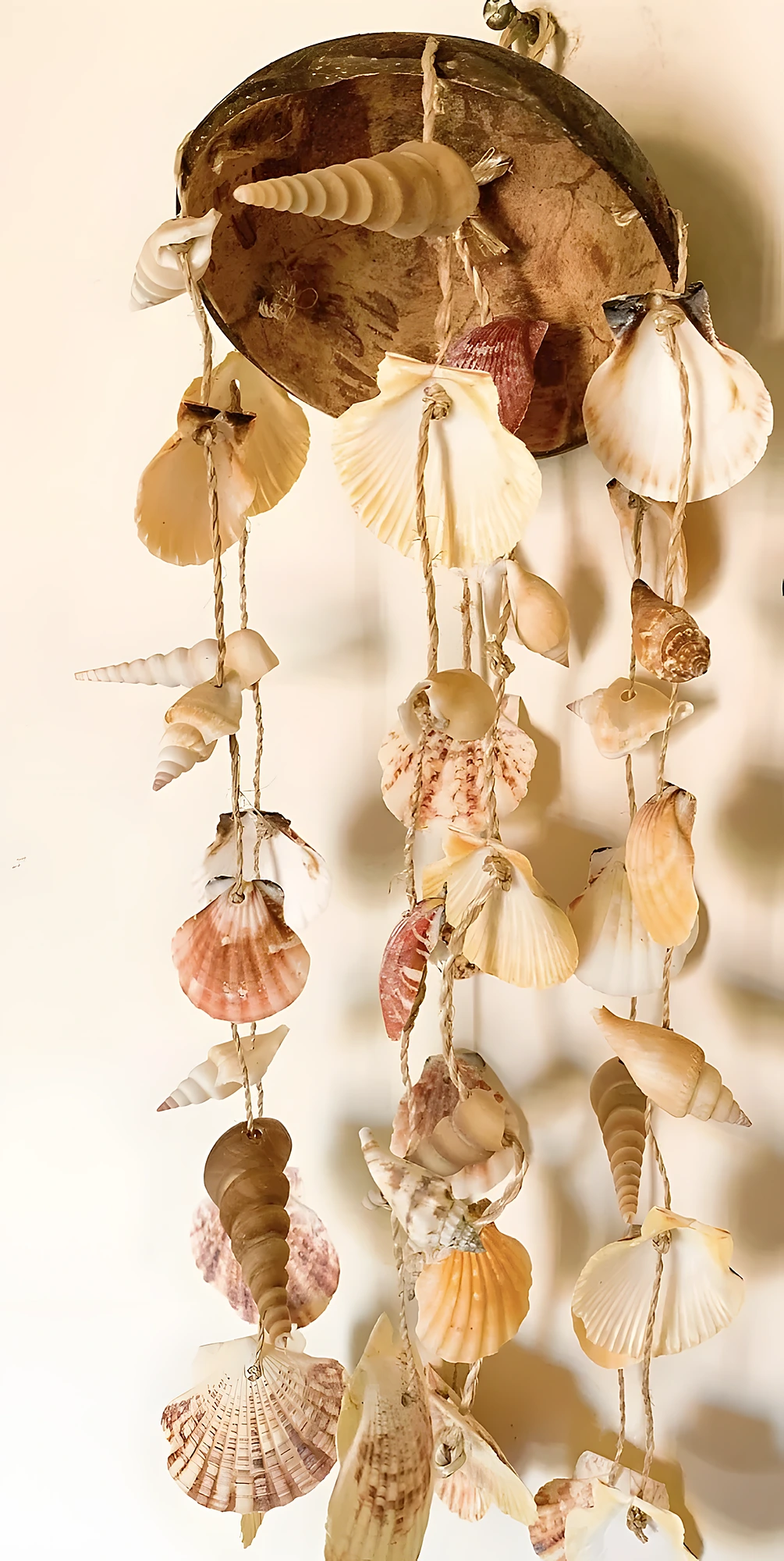 Natural driftwood and shell wall hanging with knotted twine, simple weaving, and easy-to-moderate difficulty.