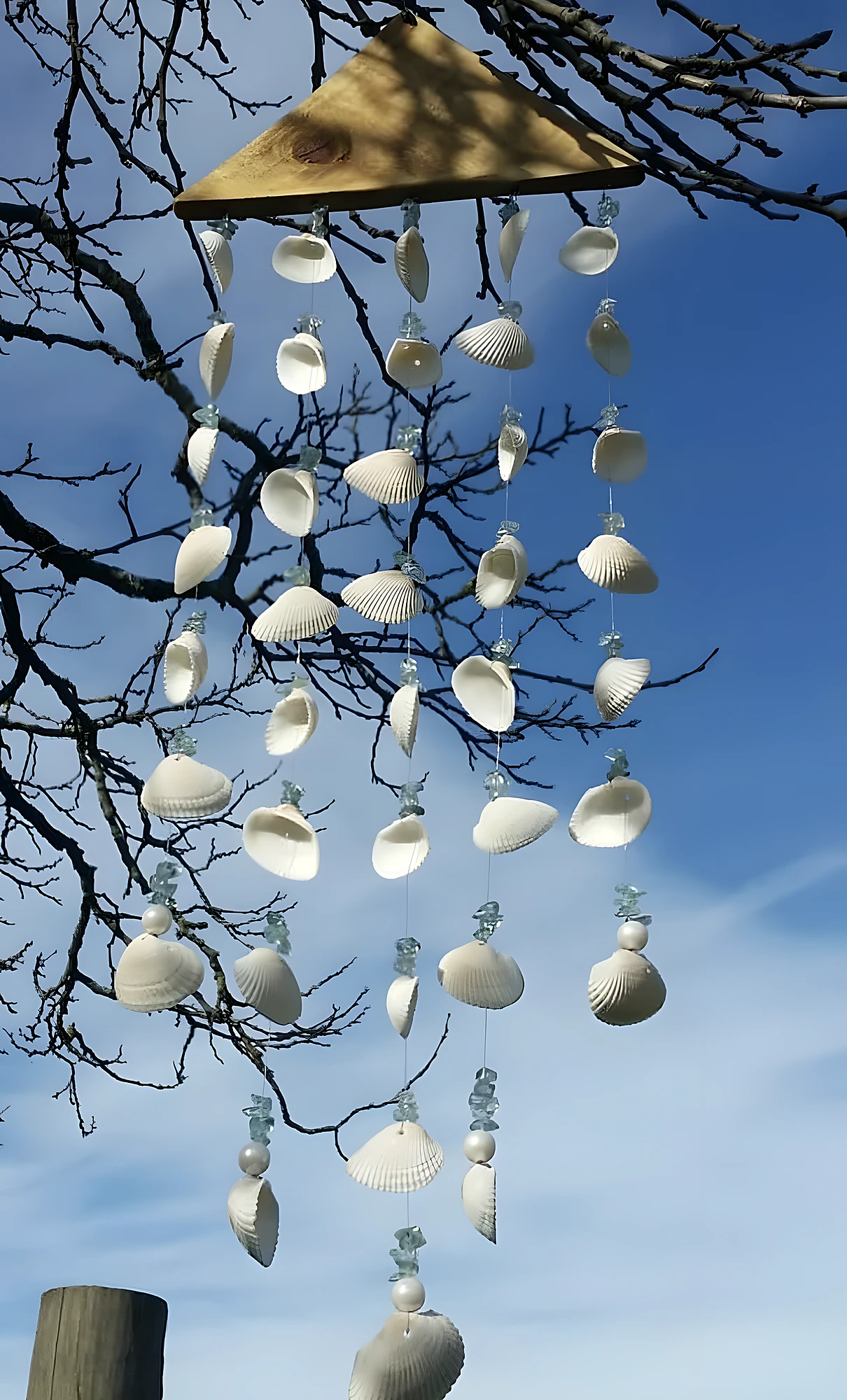 Hanging white shell strands on clear thread with a simple wooden top, moderate-level coastal decor project.