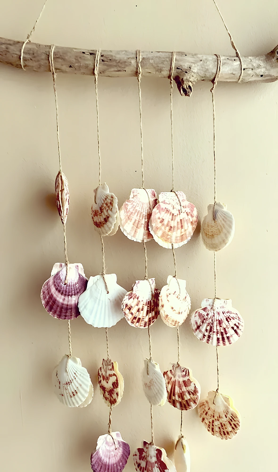 Neutral seashell garland on twisted twine and driftwood, easy DIY project with drilled shells and simple knotting.